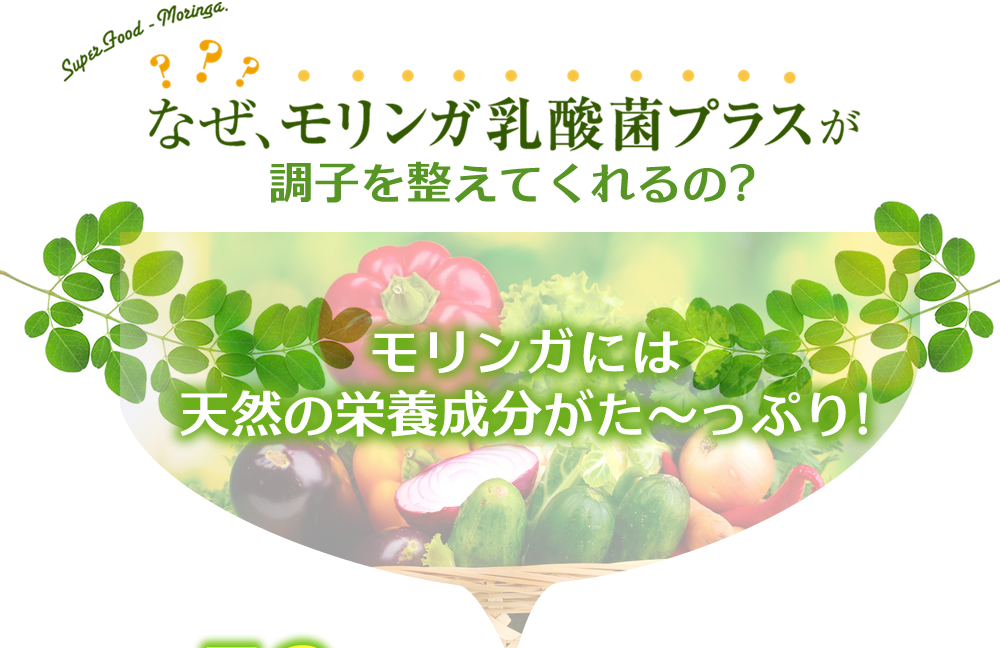 なぜモリンガ＋乳酸菌調子を整えてくれるの?