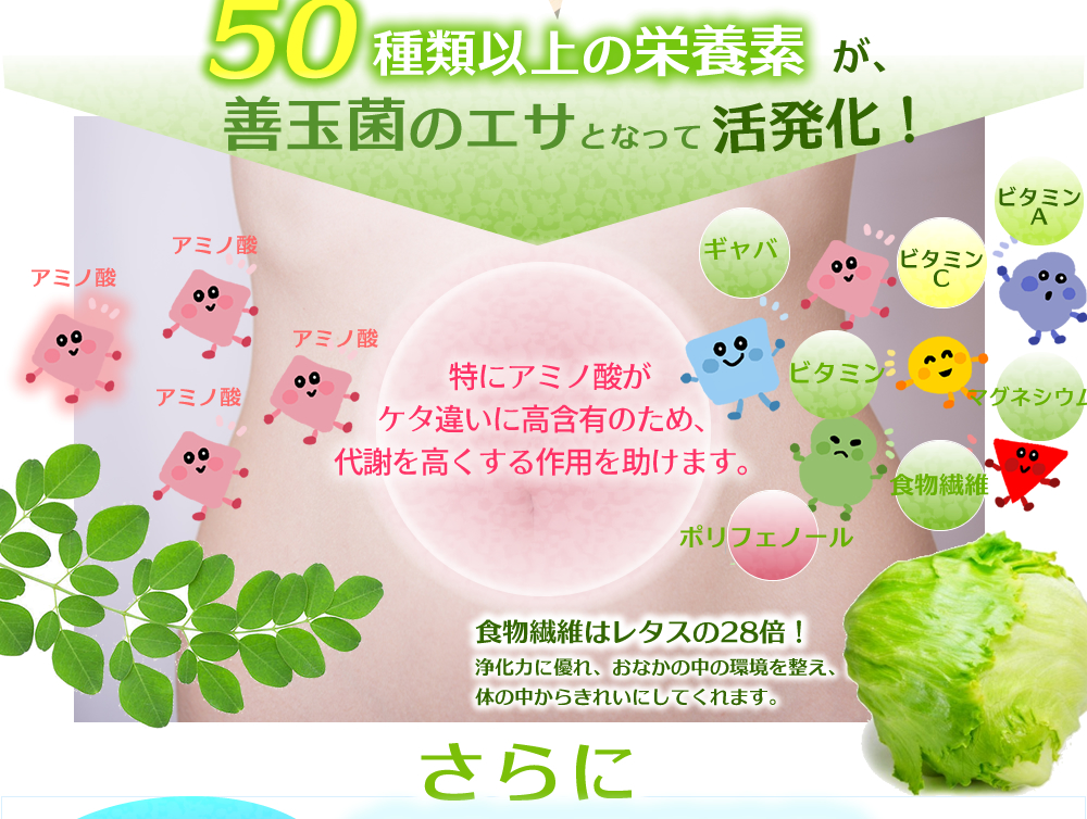 モリンガには天然の栄養成分がた～っぷり!50種類以上の栄養素が善玉菌のエサとなって活性化！