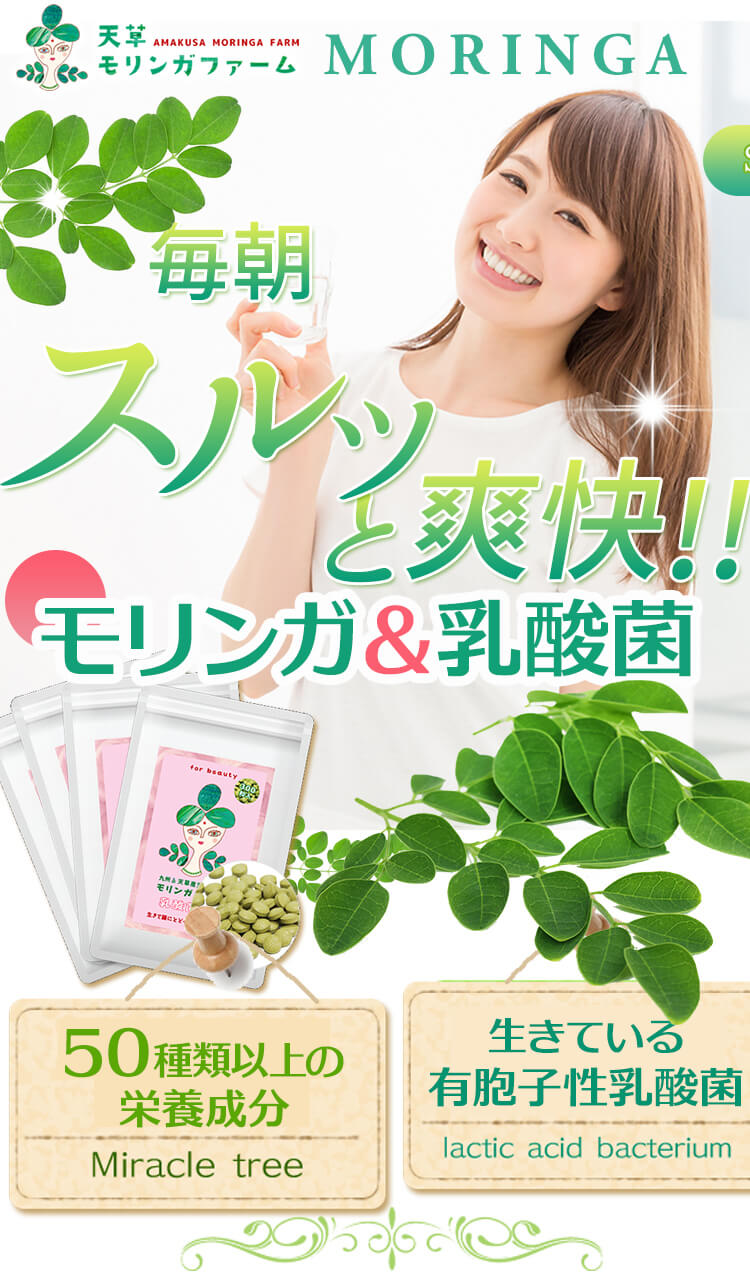 COڂX[p[t[hKIXbLIق̃p[ŒKȔ{fBɁI@_CGbgeB50ނ̉h{fA60̓_